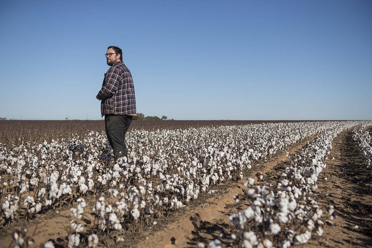 Hit with heat, sustained drought, late rains, and freezes, the 2018 harvest has been a rough go for many cotton farmers. Ty inspects his crop after a hard freeze had set in on his field. A freeze during harvest will cause excess bark to come off when the stripper removes the lent lowering the grade and cutting into the profit from the field.